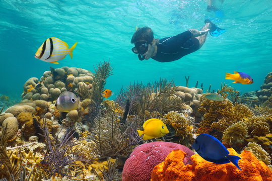 Coral Reef Snorkeling
