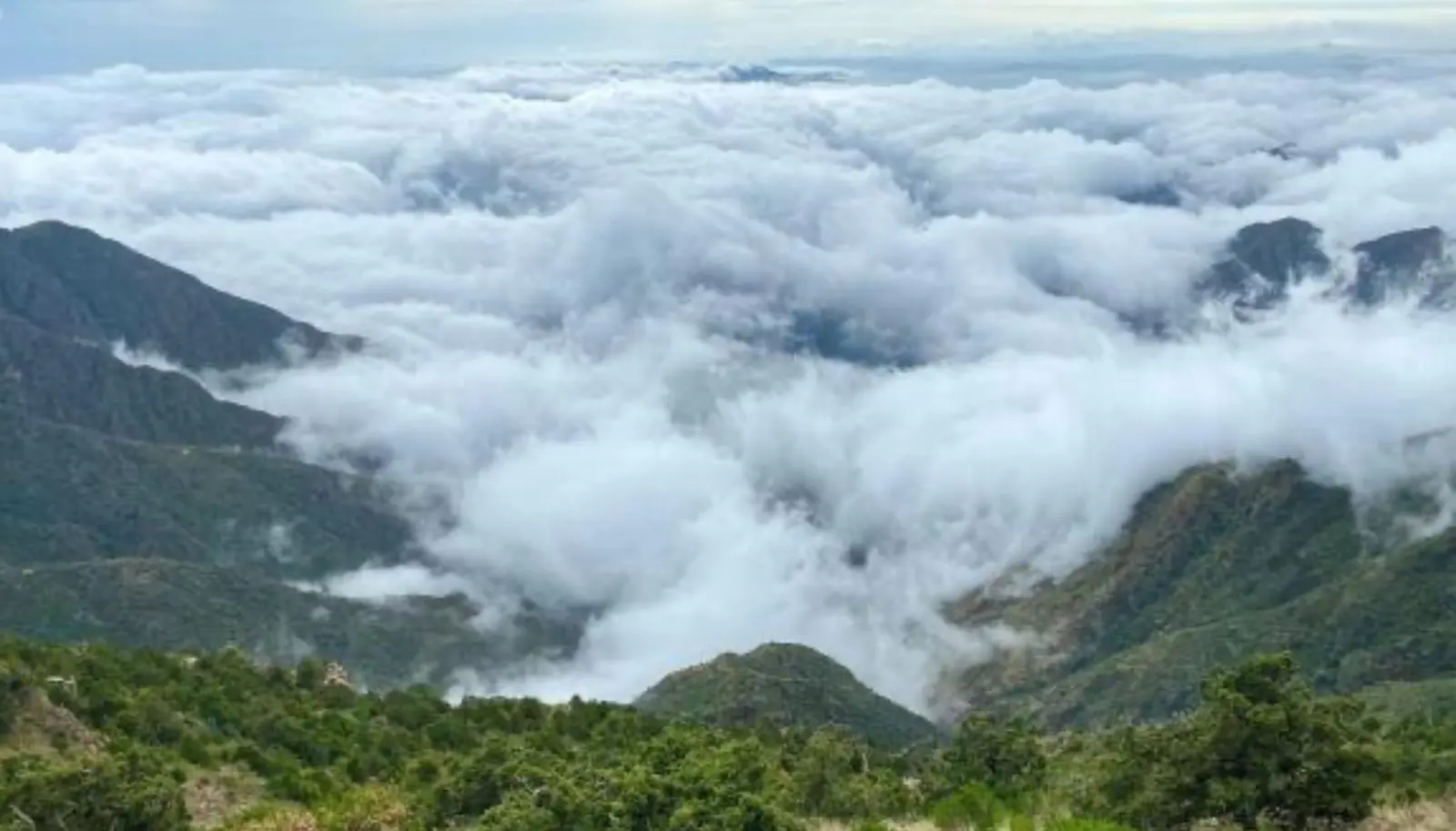جبل السودة