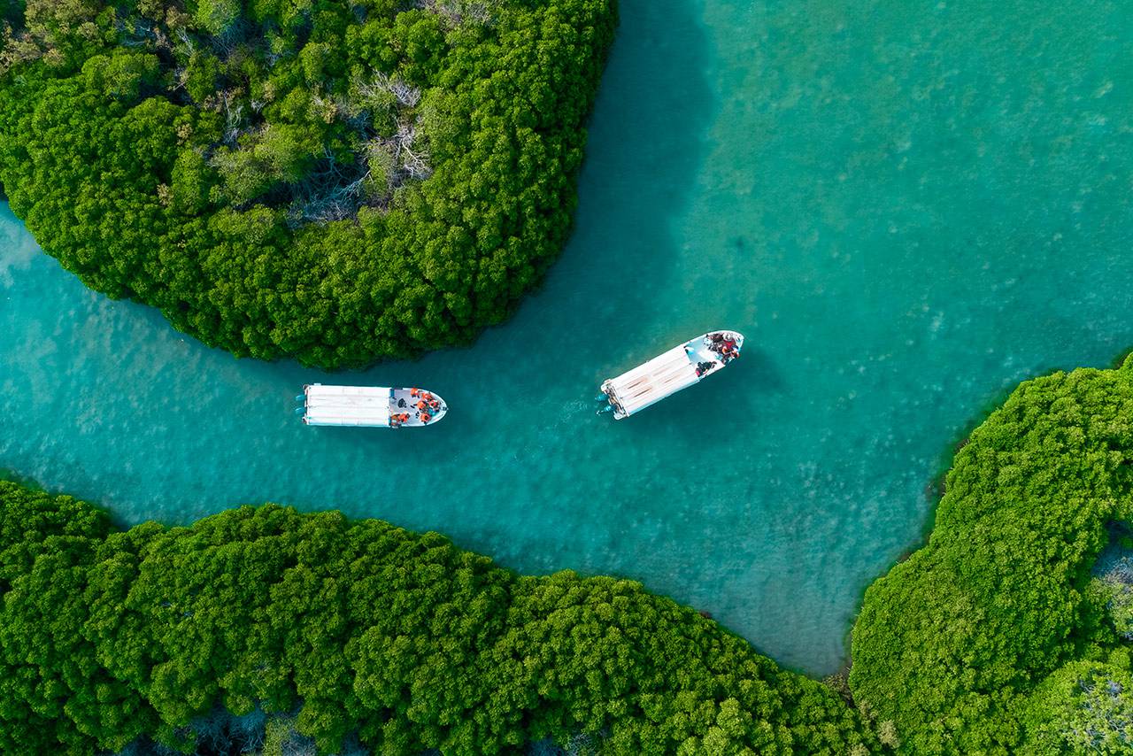 Jazan Islands Cruise